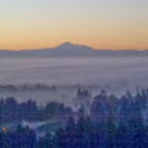 Meet your Posher, Michael j.k.